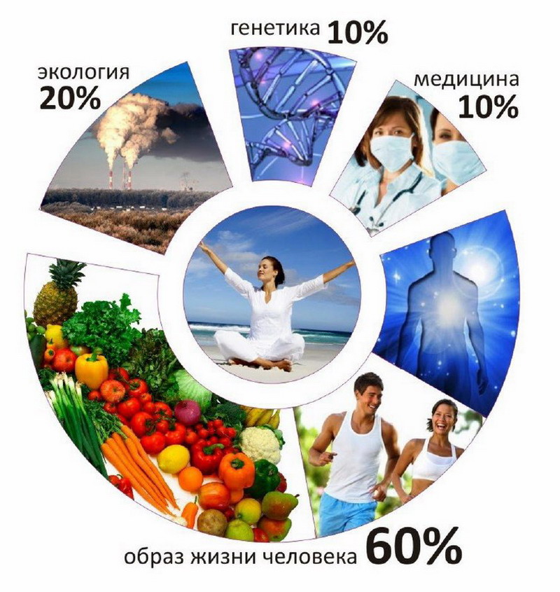 Что такое здоровье